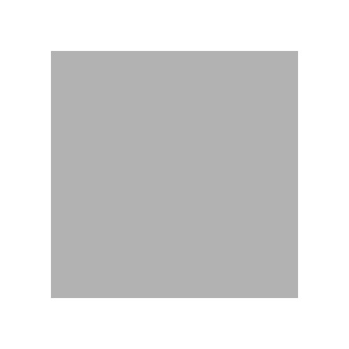 Canford Paper A1 Dreadnought Grey (402275023) 150gsm Single sheet