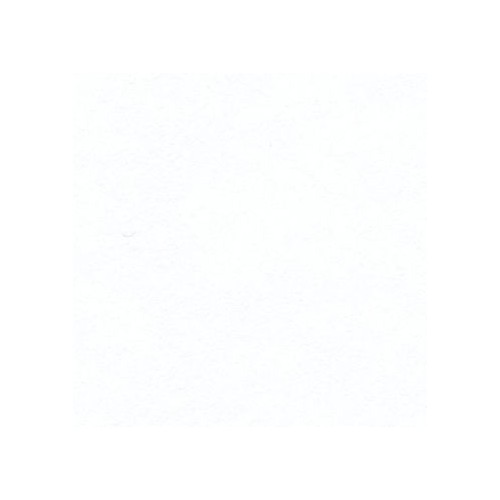 Canford Card A1 Ice White 300gsm (402850083)