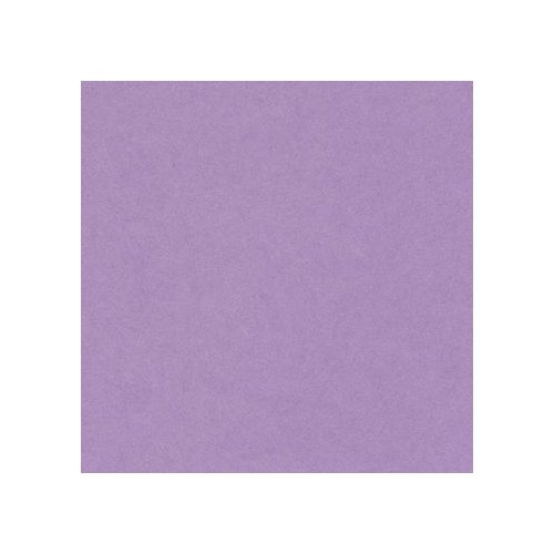 Canford Paper A1 Lilac (402275210) 150gsm Single sheet
