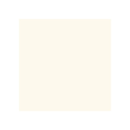 Canford Paper A1 Snow White (402275068) 150gsm Single sheet