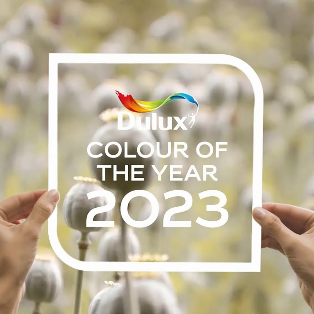 dulux colour of the year 2023 Dulux Announce Wild Wonder as Colour of the Year for 2023