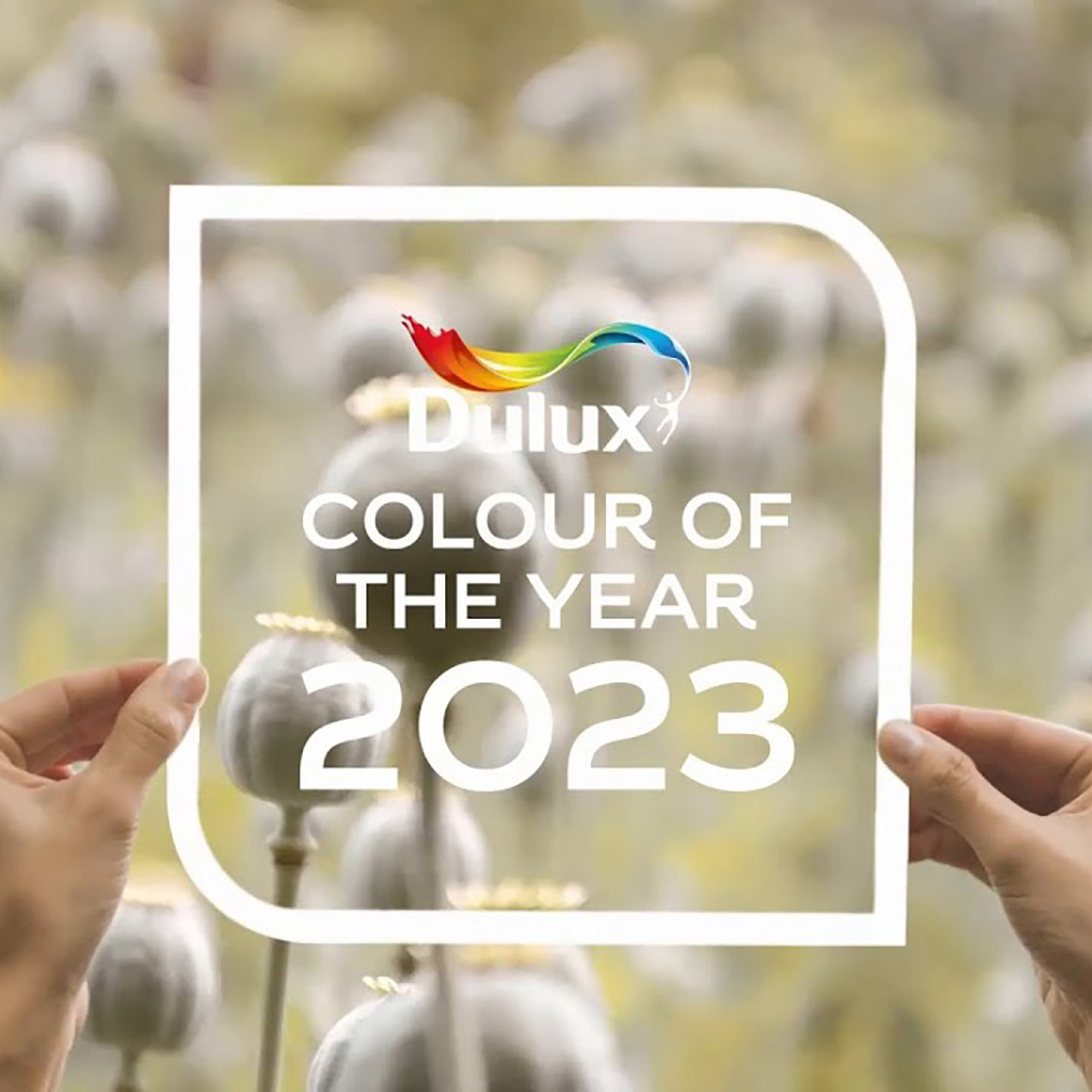 Dulux Announce Wild Wonder as Colour of the Year for 2023