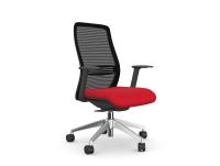 NV Ergonomic Posture Chair