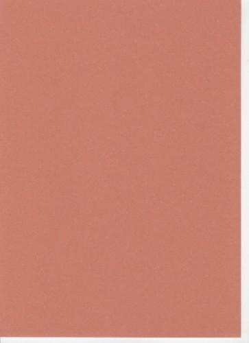 Tangerine Recycled Card A4 170gsm 250 sheets