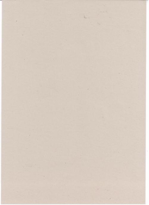 Pale Grey Recycled Light Card 150gsm A3 x 500