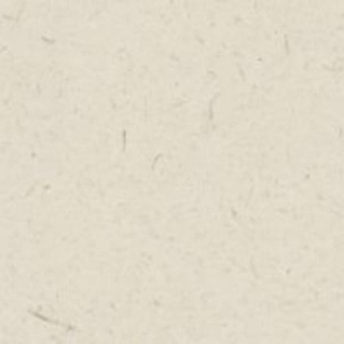 Ellie Poo Card A4 300gsm 50 sheets LIMITED STOCK