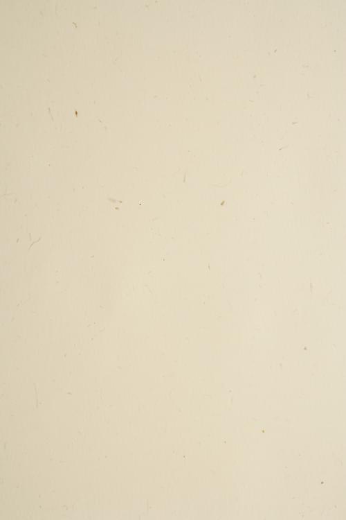 Ellie Poo Paper A4 110gsm 100 sheets