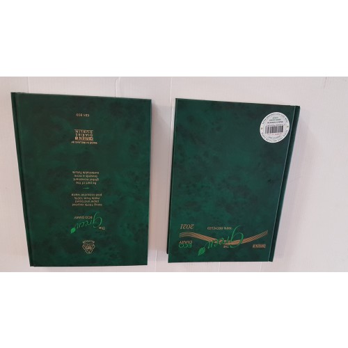 Recycled Diary Green A5 Day Per Page 2021