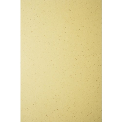 Bier Lager Ivory Paper A4 100gsm 100 sheets