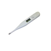 Handheld Digital thermometer
