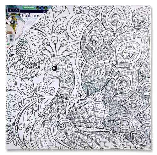 Icon 300X300Mm Colour My Canvas - Peacock