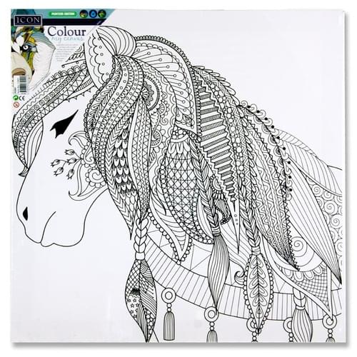 Icon 300X300Mm Colour My Canvas - Pony