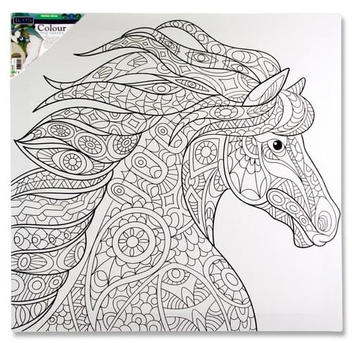 Icon 500X500Mm Colour My Canvas - Horse