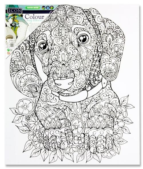 Icon 300X250Mm Colour My Canvas - Doggy