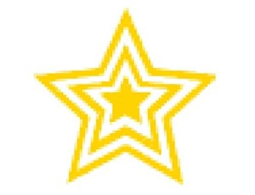Gold Star SELF INKING MERIT STAMPER