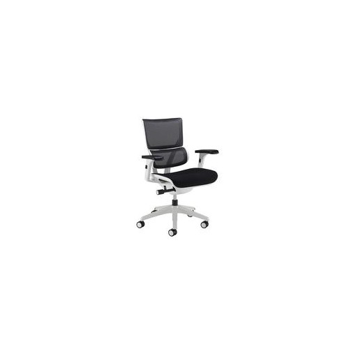 Dynamo mesh back posture chair with white frame and black airmex seat