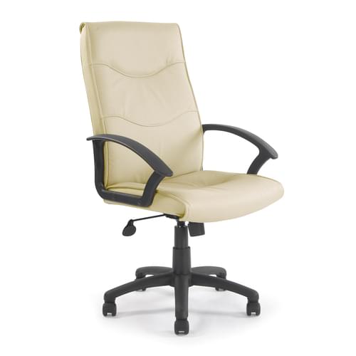 High Back Leather Faced Executive Armchair with Detailed Stitching