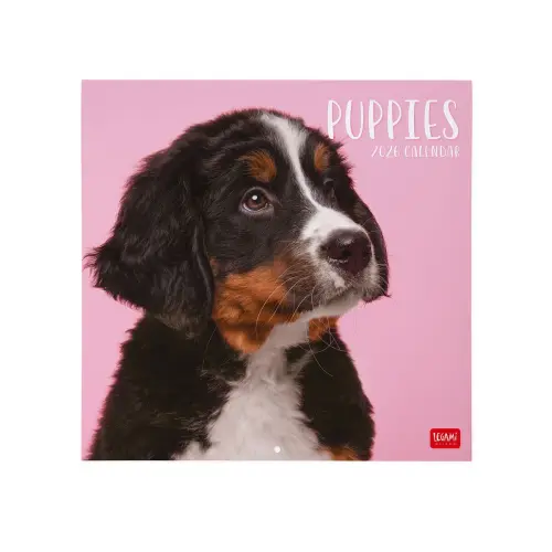 Puppies Wall Calendar 2026