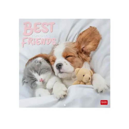 Best Friends 2026 Wall Calendar