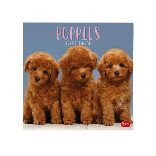 Puppies Wall Calendar 2027