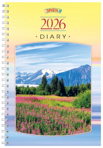 O'Brien's Irish A5 Wiro Week to View 2026 Diary