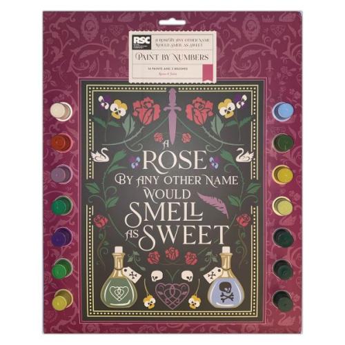 Paint By Numbers - Romeo & Juliet