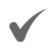 Ready for Immediate Use Icon