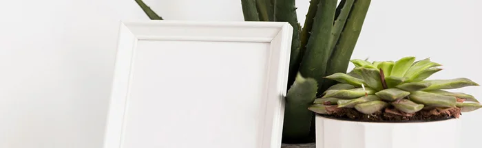 Simple Ways to Liven Up Your Dreary Office Space