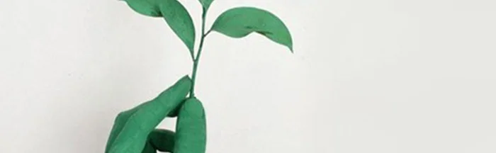 The Importance of Eco-Friendly and Sustainable Office Supplies