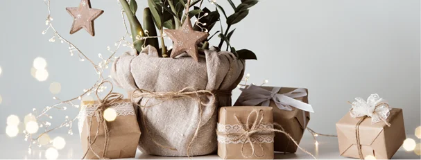 It&rsquo;s Our Eco-Friendly Gift Guide