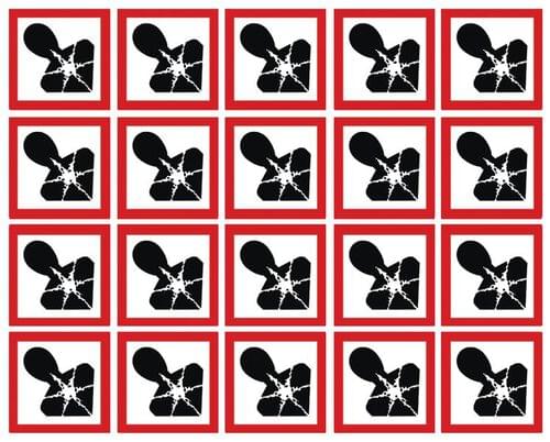 100x100mm Health Hazard GHS Symbols 6 labels on a sheet