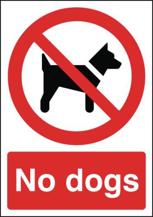 297x210mm No Dogs - Rigid