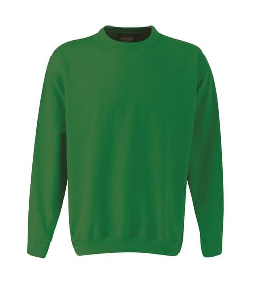 Dickies Sweatshirt Bottle Green - Large