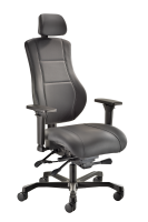 Ergo X Executive Leather Chair