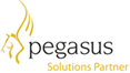 Active Group partners with pegasus