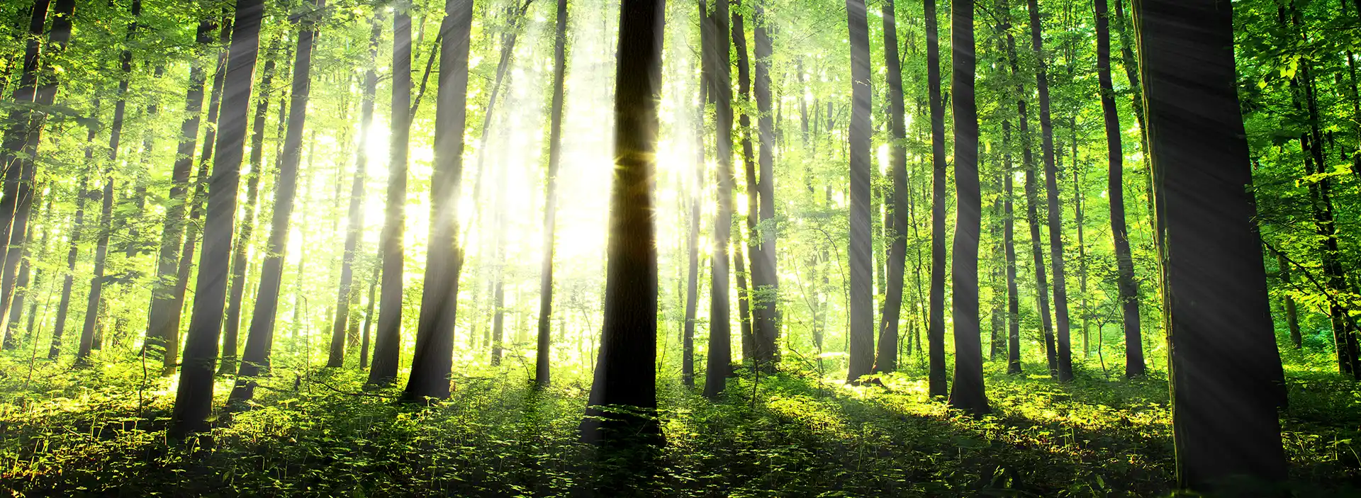 Office products that are better for our environment