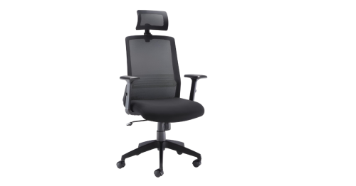 Denali High-Back Office Chair with Headrest