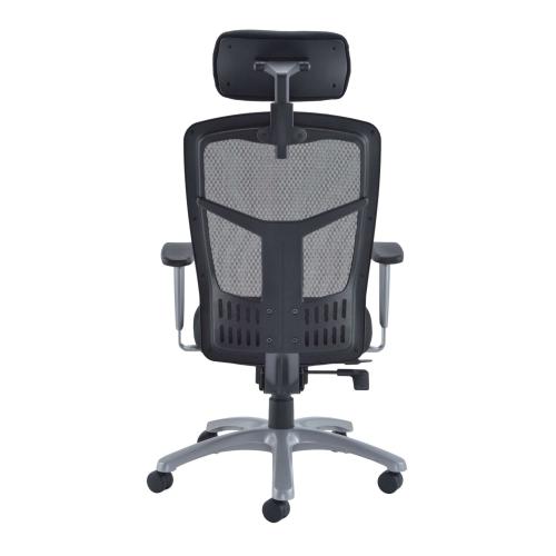 Back view of the Fonz ergonomic office chair with mesh back, lumbar support panel, and integrated headrest.