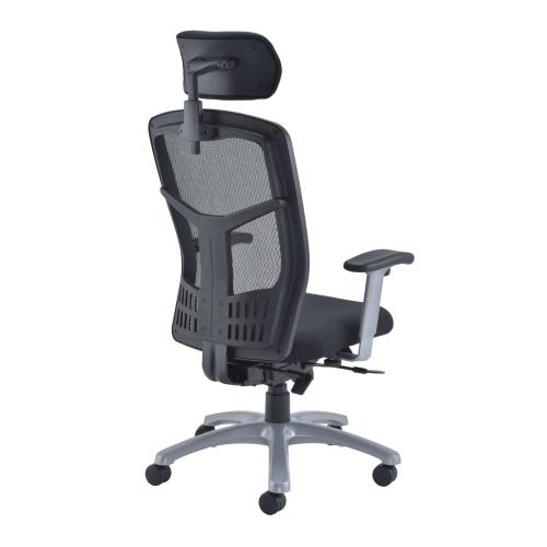Angled view of the Fonz office chair displaying the mesh backrest, ergonomic frame, and physio-supported structure.