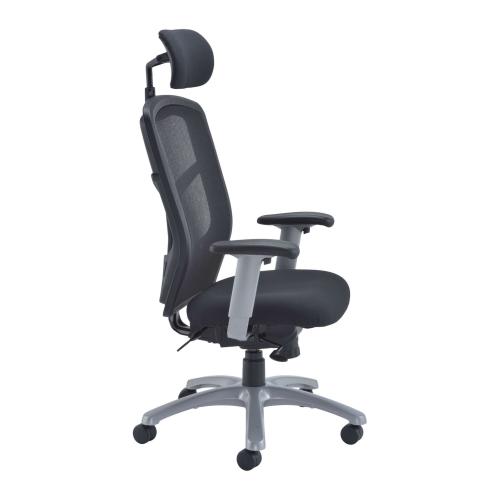 Side view of the Fonz ergonomic office chair showing the mesh back, cushioned seat, headrest, and adjustable armrests for posture support.