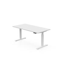 ERIN Dual-Motor Electric Height-Adjustable Sit-Stand Desk – 65–130 cm Range