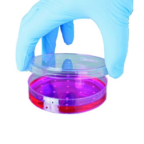 Shield Powder-Free Blue Nitrile MEDIUM Disposable Gloves (Pack of 100) GD19