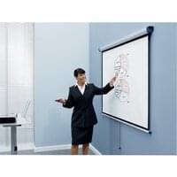 Wall/Ceiling Mounted Screens