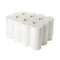 Toilet Tissue