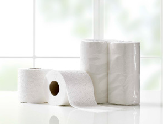 IVC Toilet Rolls 2 ply 320 sht recycled TR320-R PK36