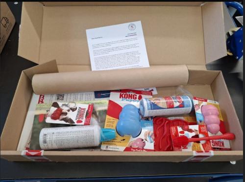 KONG Premium Puppy Academy Packs