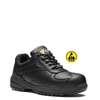 V12® Boost IGS S3 HRO ESD SRC Trainer