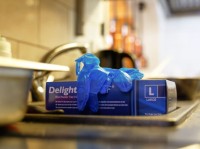 Aurelia Delight Vinyl Powder Free Examination Glove