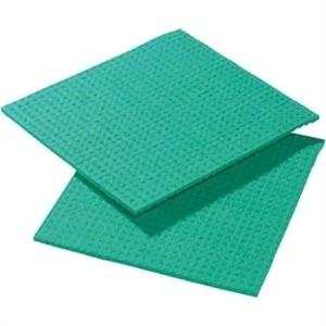 Spontex Spongyl Green (Pack of 10)