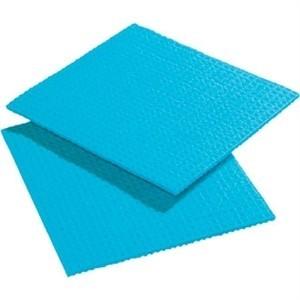 Spontex Spongyl Blue (Pack of 10)